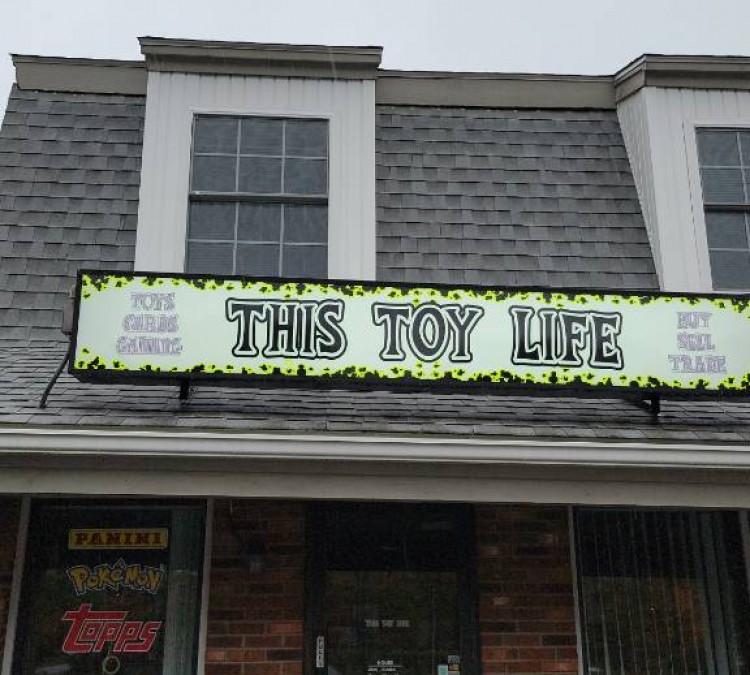 this-toy-life-photo